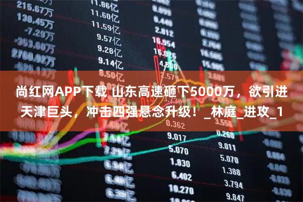 尚红网APP下载 山东高速砸下5000万,欲引进天津巨头,冲击四强悬念升级!_林庭_进攻_1