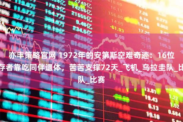 亦丰策略官网 1972年的安第斯空难奇迹:16位幸存者靠吃同伴遗体,苦苦支撑72天_飞机_乌拉圭队_比赛